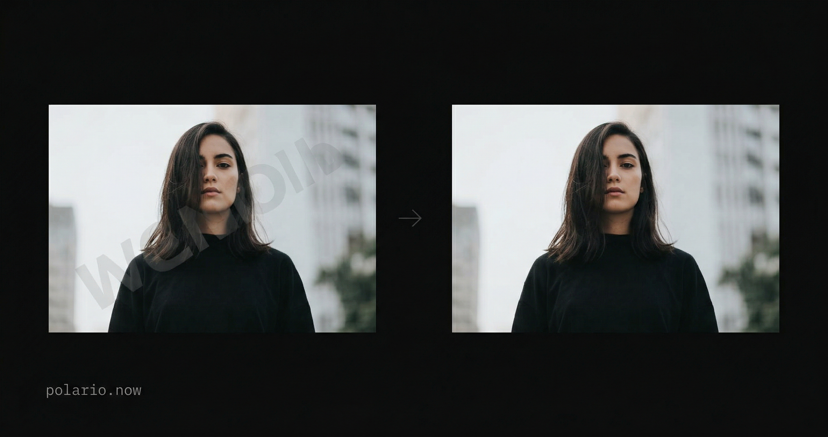 Photo with text watermark before removal compared to clean photo after removal using Polario